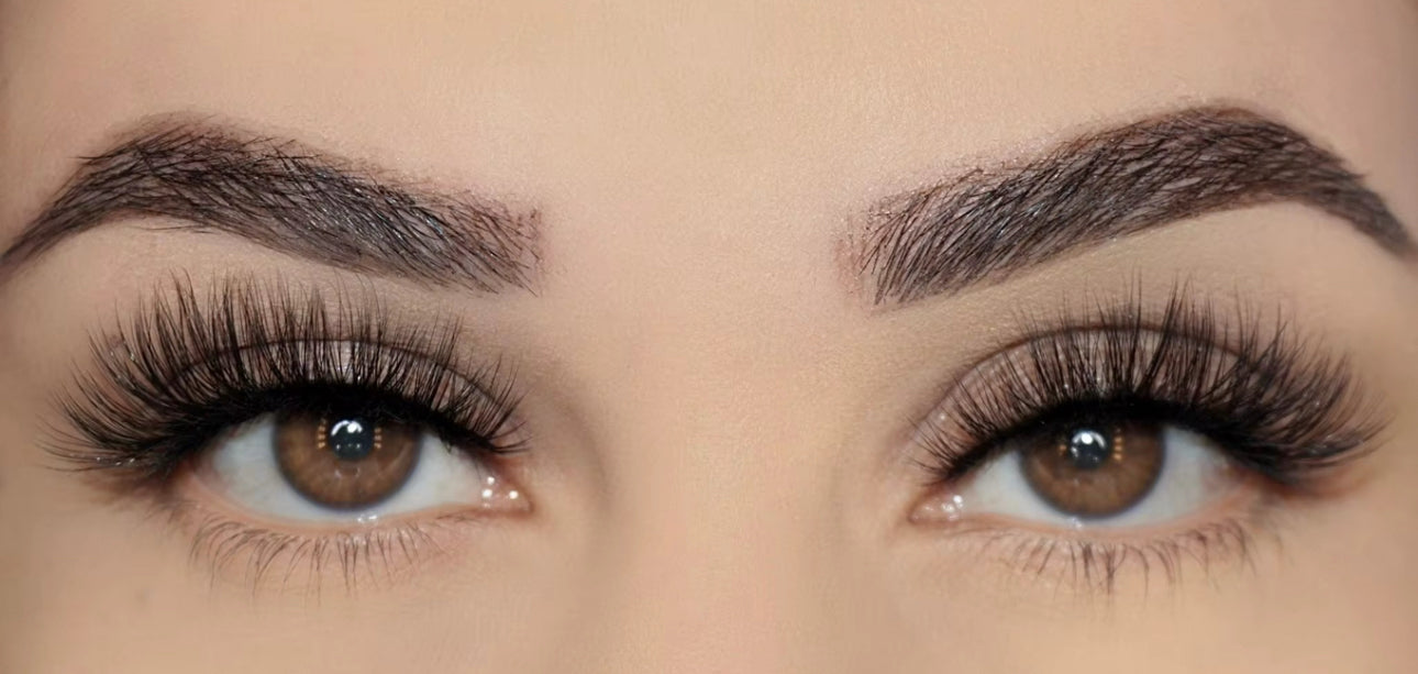 Chantelle Eyelash