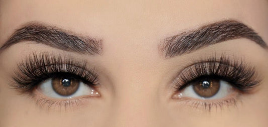 Chantelle Eyelash