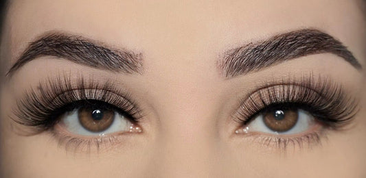 Sylvette Eyelash